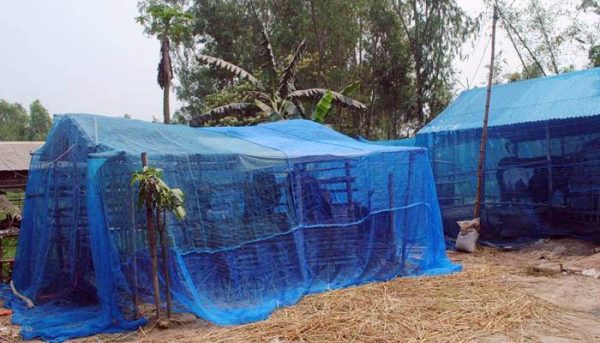 Multi-purpose filter net for cattle sheds garden fencing window covering and pondside protection sold by the yard - Image 7